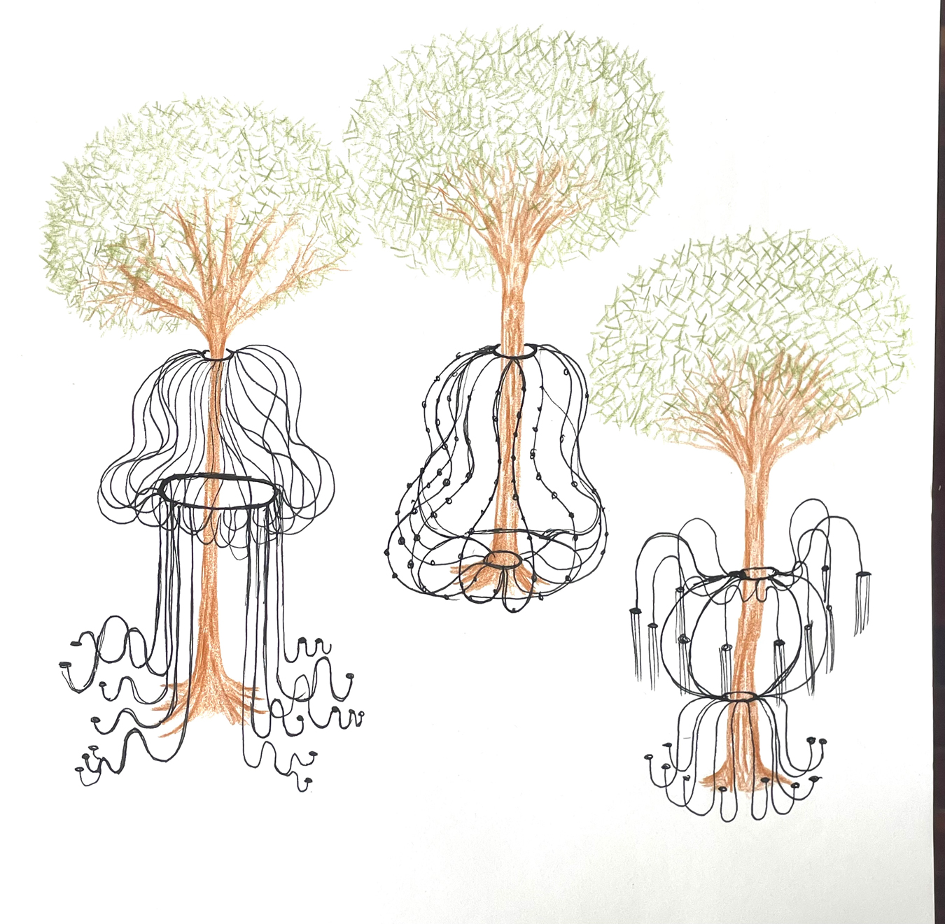 Eduardo Navarro: i found a forest at the bottom of the ocean (Fig. 28)