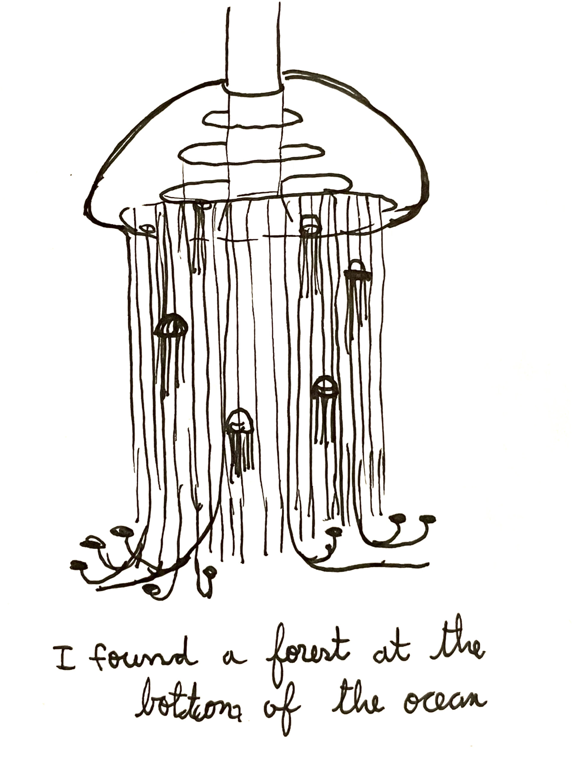 Eduardo Navarro: i found a forest at the bottom of the ocean (Fig. 32)