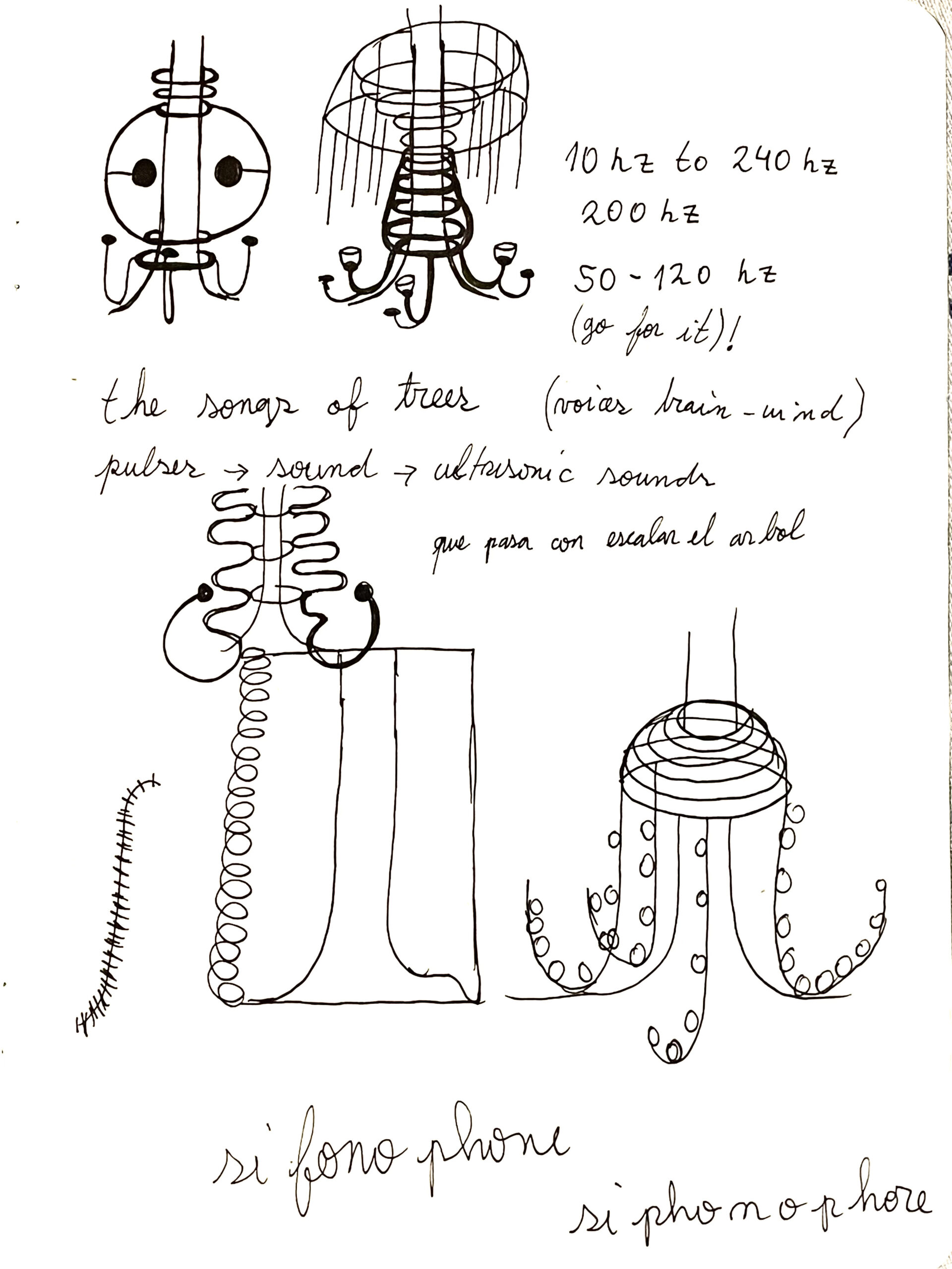 Eduardo Navarro: i found a forest at the bottom of the ocean (Fig. 29)