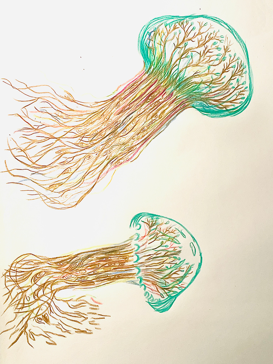 Eduardo Navarro: i found a forest at the bottom of the ocean (Fig. 35)