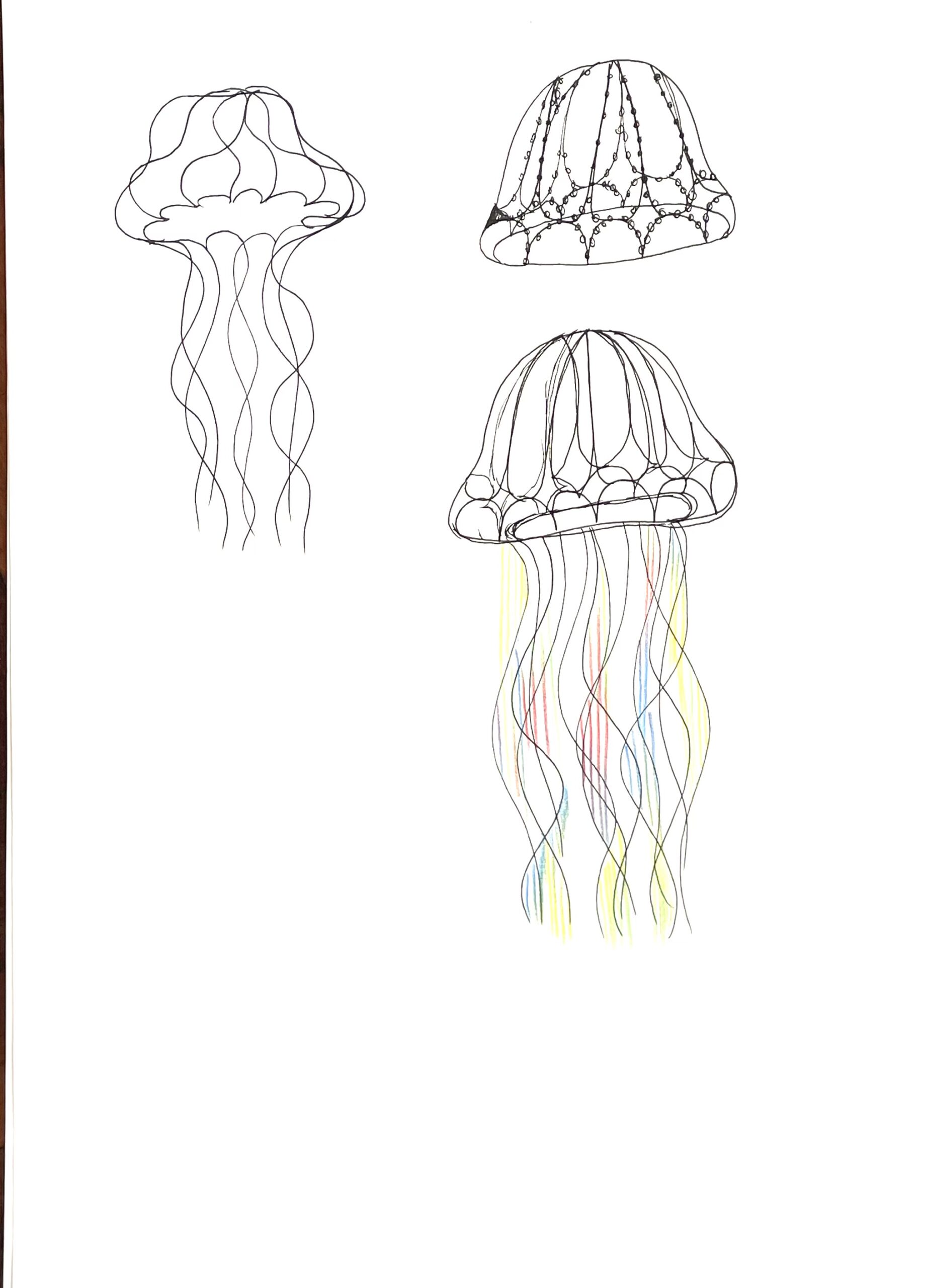 Eduardo Navarro: i found a forest at the bottom of the ocean (Fig. 31)