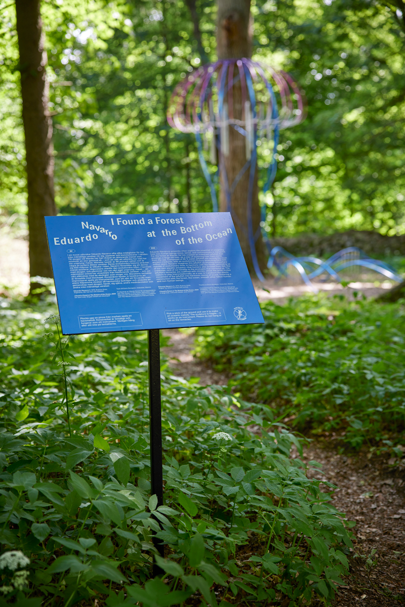 Eduardo Navarro: i found a forest at the bottom of the ocean (Fig. 14)