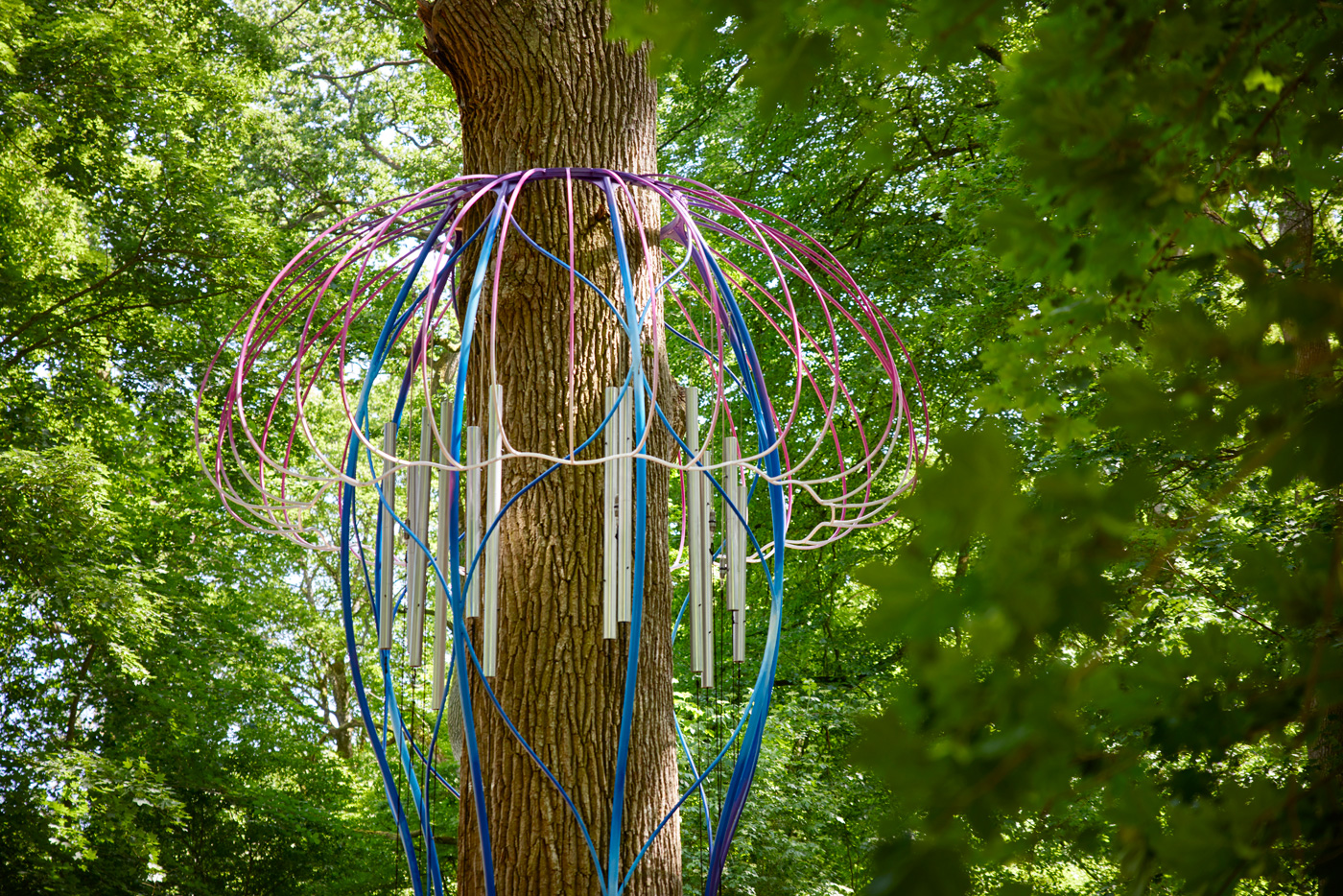 Eduardo Navarro: i found a forest at the bottom of the ocean (Fig. 2)