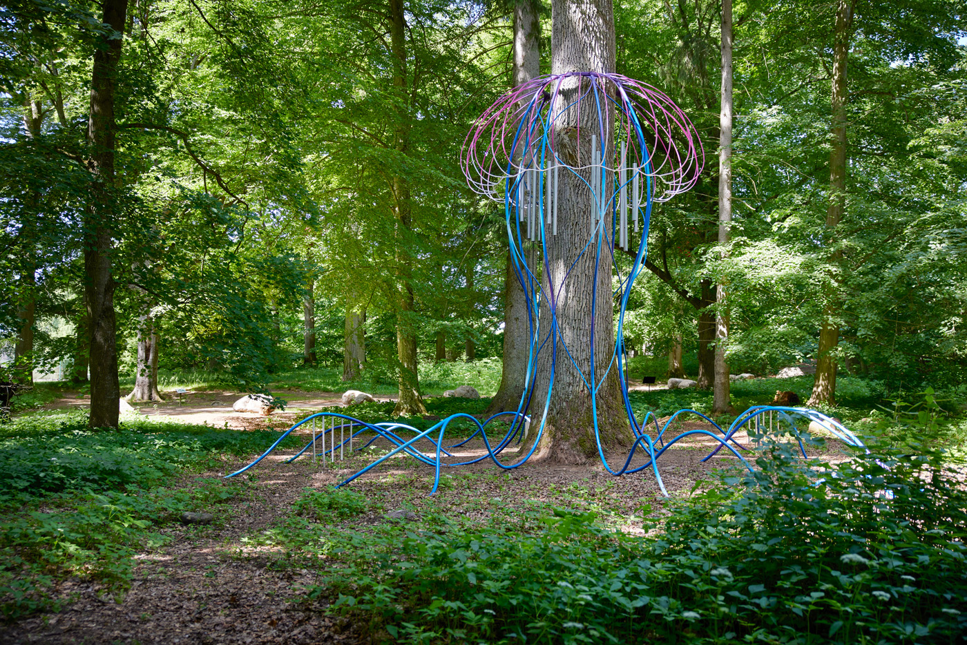 Eduardo Navarro: i found a forest at the bottom of the ocean (Fig. 6)