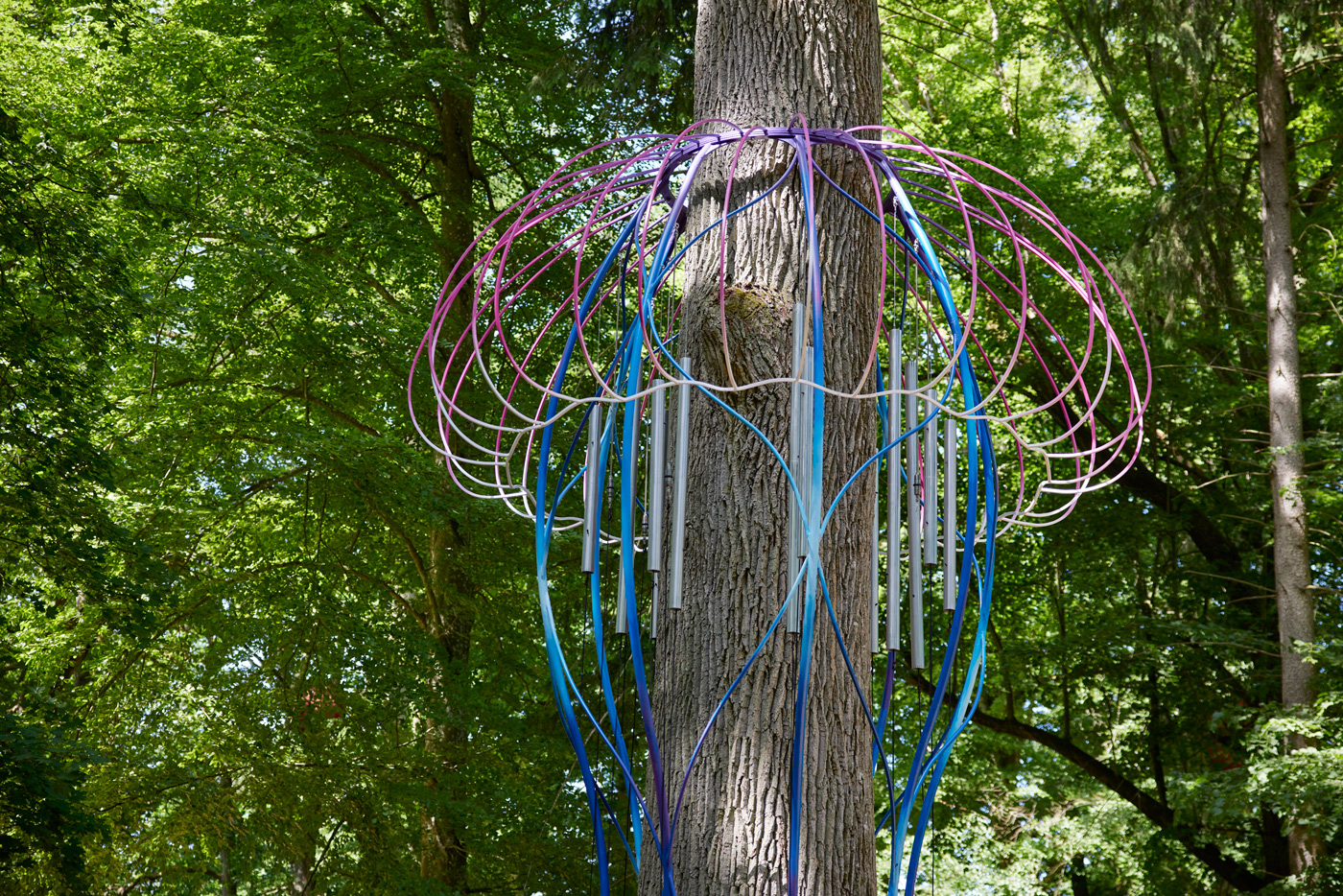 Eduardo Navarro: i found a forest at the bottom of the ocean (Fig. 18)