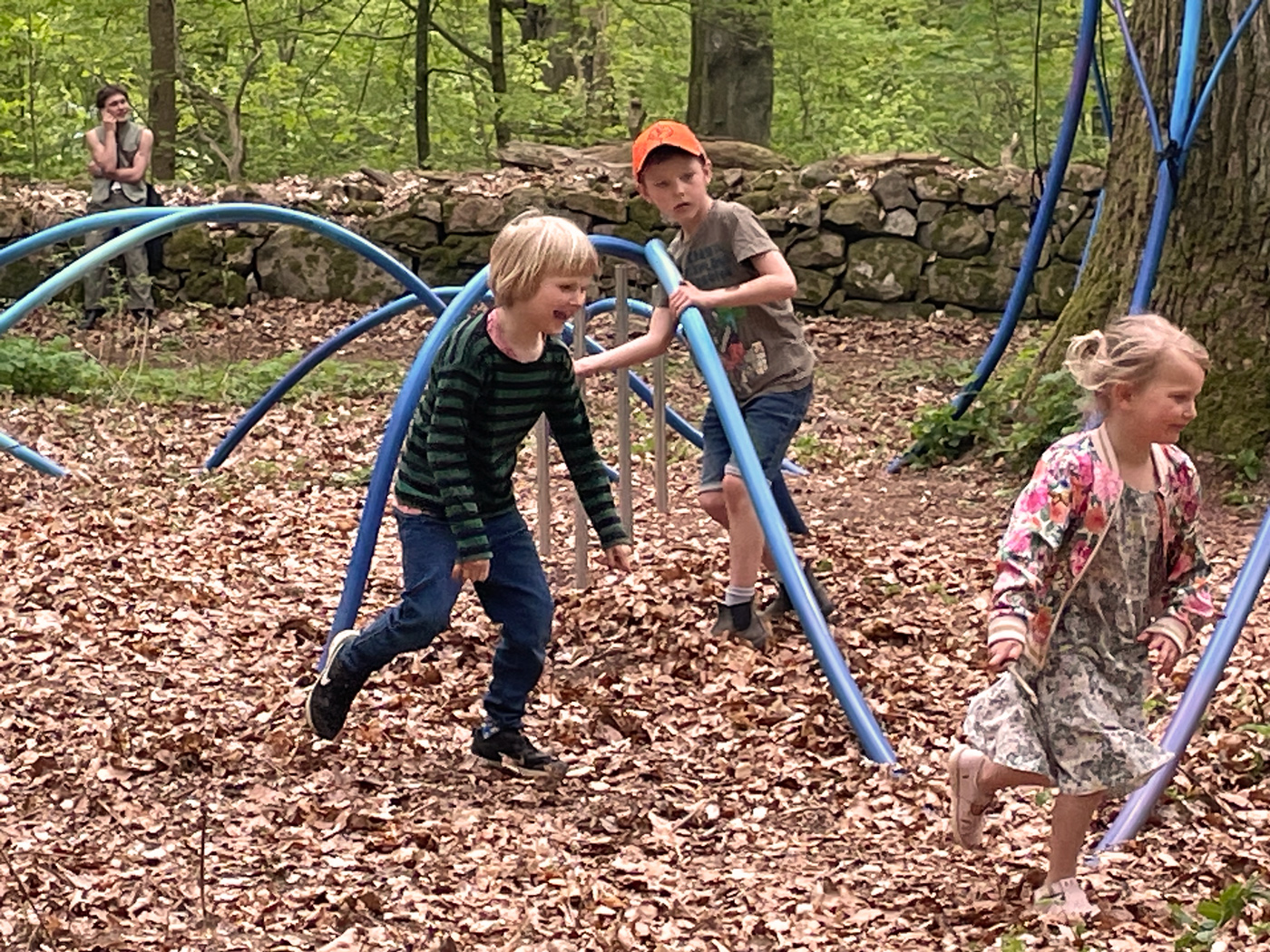 Eduardo Navarro: i found a forest at the bottom of the ocean (Fig. 17)