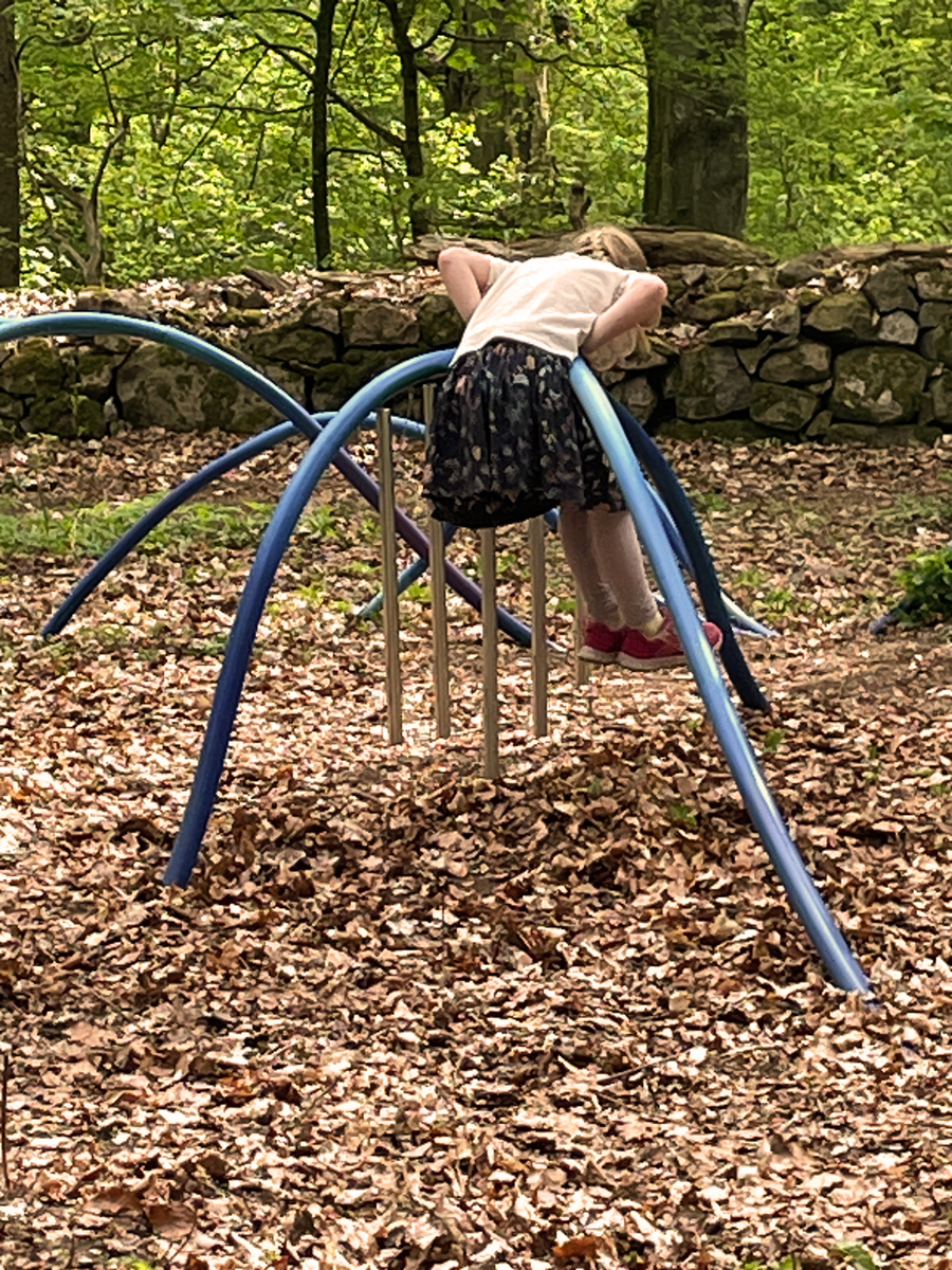 Eduardo Navarro: i found a forest at the bottom of the ocean (Fig. 9)