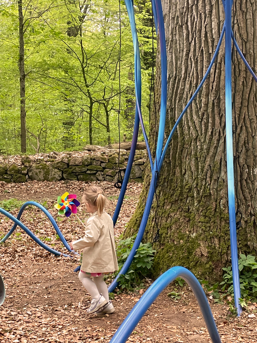 Eduardo Navarro: i found a forest at the bottom of the ocean (Fig. 3)