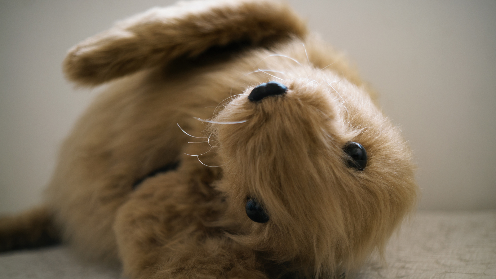 Eduardo Navarro: Service Seal 2024 (Fig. 3)