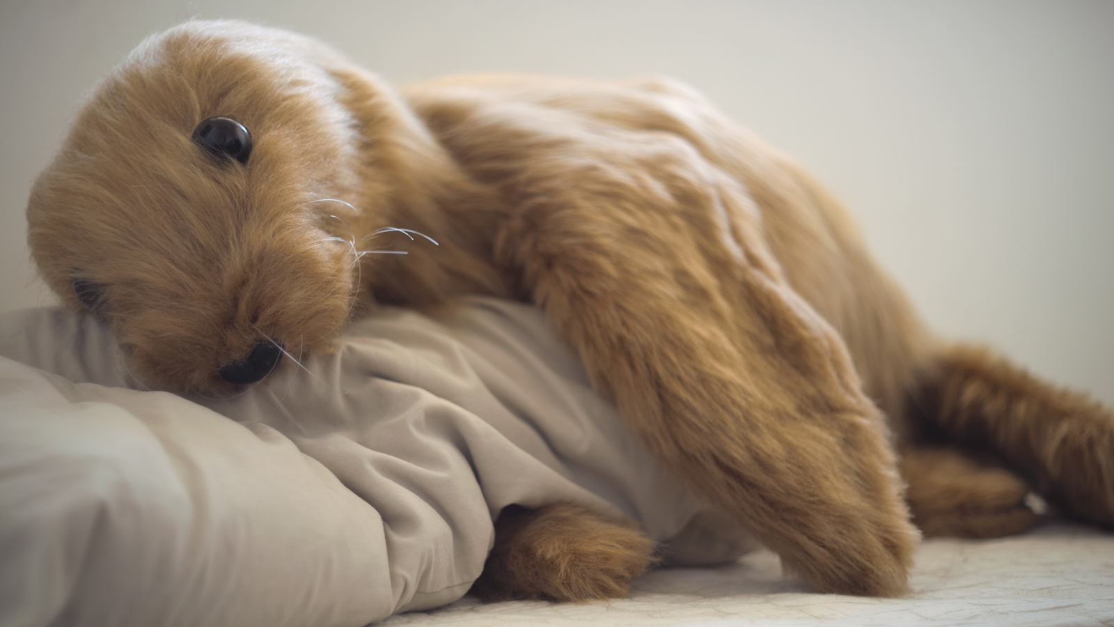 Eduardo Navarro: Service Seal 2024 (Fig. 4)