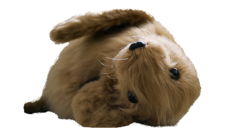 Eduardo Navarro: Service Seal 2024 (Thumbnail)