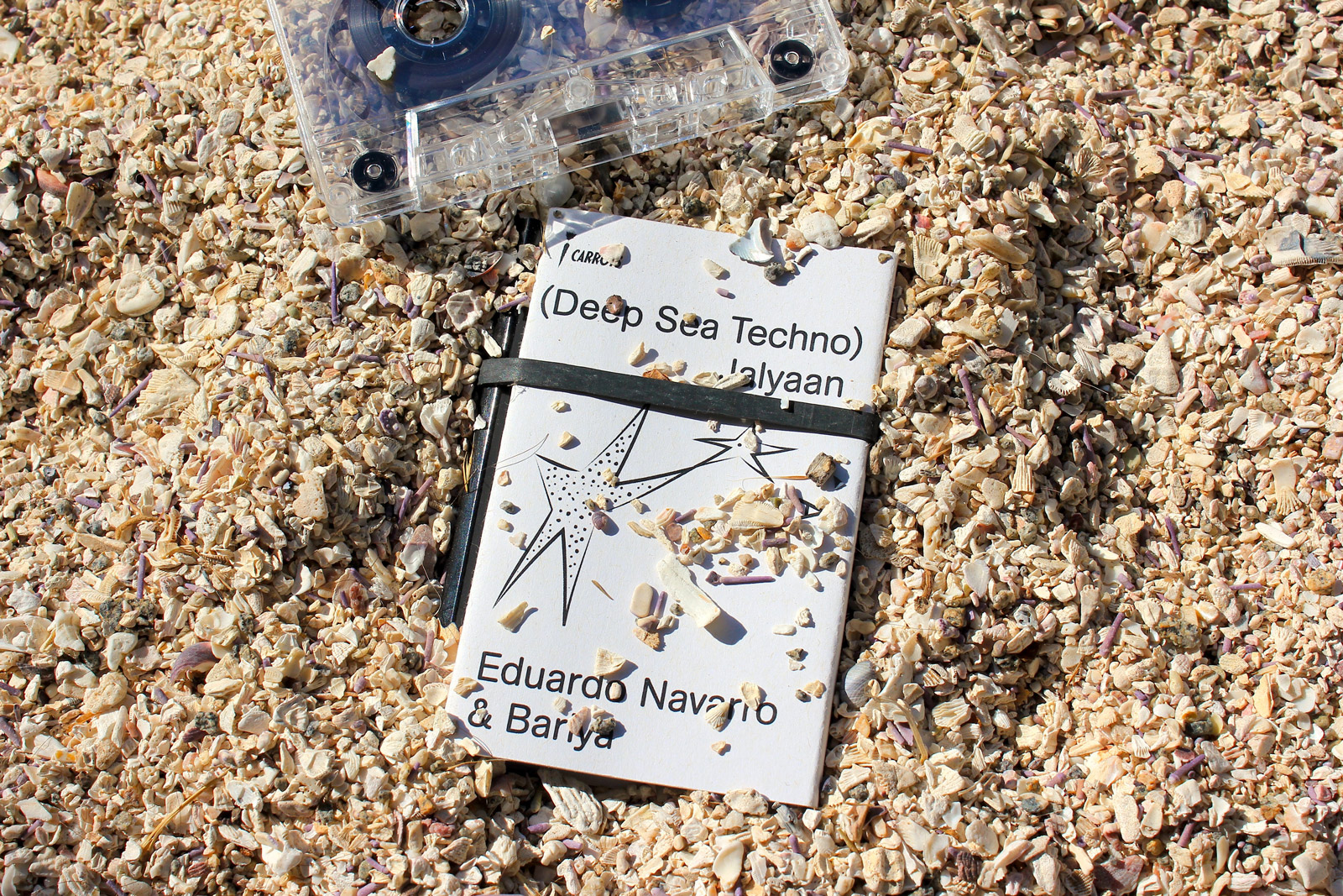 Eduardo Navarro: Deep Sea Techno (Fig. 2)