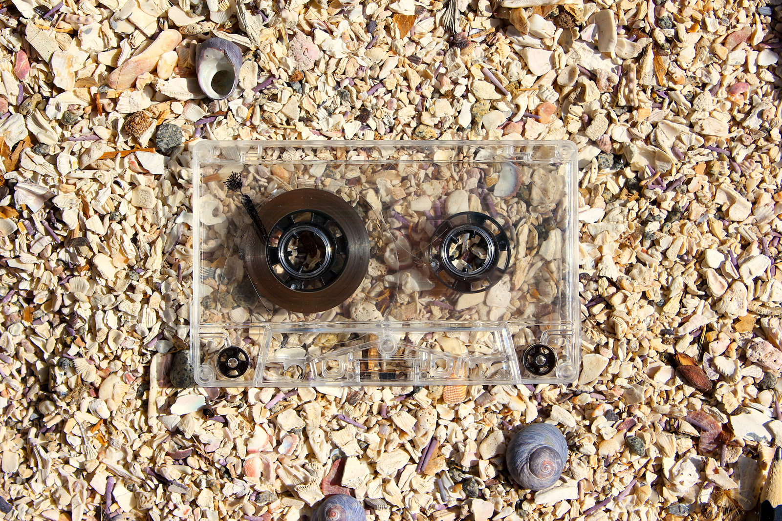 Eduardo Navarro: Deep Sea Techno (Fig. 4)