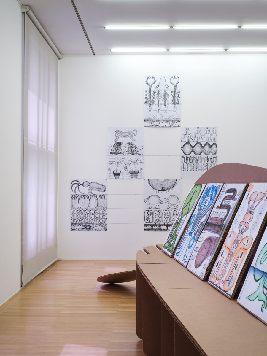 Eduardo Navarro: f.o.c.a (Fig. 6)