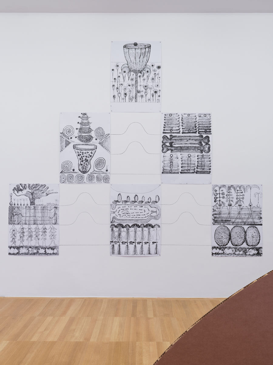 Eduardo Navarro: f.o.c.a (Fig. 7)