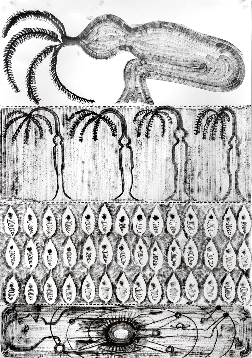 Eduardo Navarro: f.o.c.a (Fig. 31)