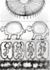 Eduardo Navarro: f.o.c.a (Fig. 34)