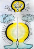 Eduardo Navarro: f.o.c.a (Fig. 10)