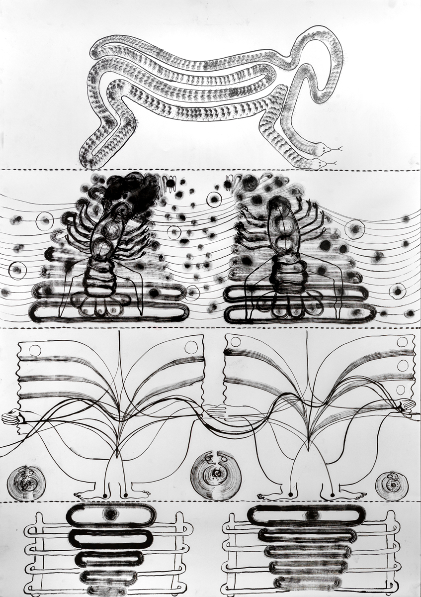 Eduardo Navarro: f.o.c.a (Fig. 42)
