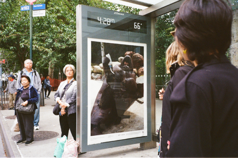 Eduardo Navarro: f.o.c.a (Fig. 10)