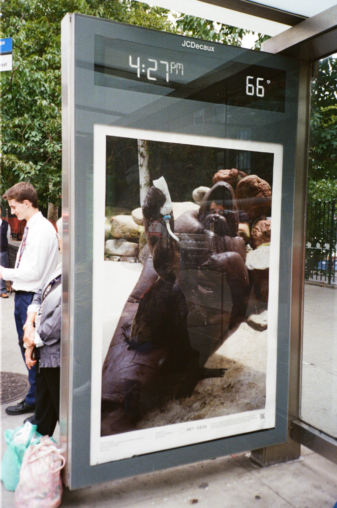 Eduardo Navarro: f.o.c.a (Fig. 9)