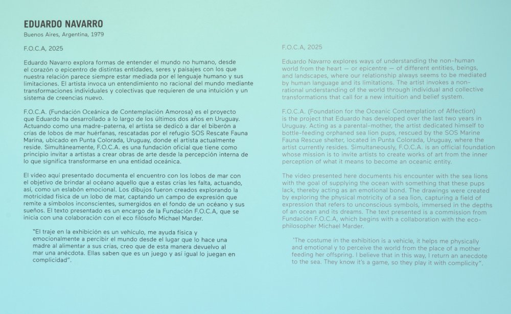 Eduardo Navarro: owk owk owk (Fig. 15)