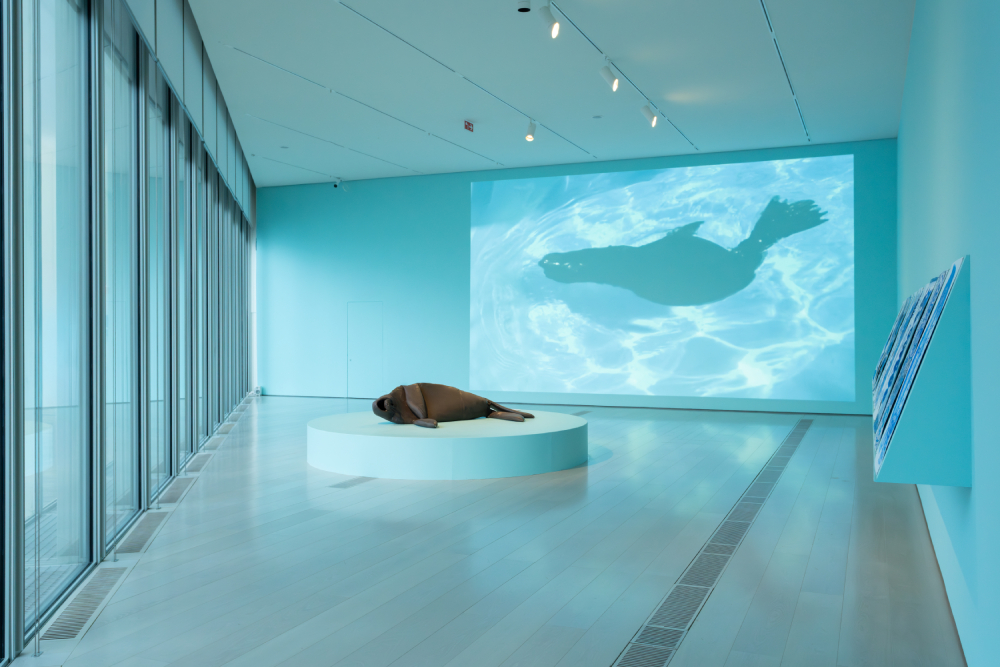 Eduardo Navarro: owk owk owk (Thumbnail)