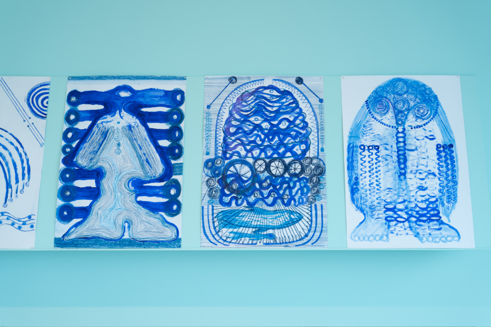 Eduardo Navarro: owk owk owk (Fig. 5)