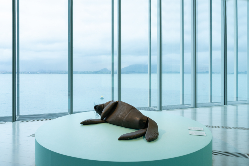 Eduardo Navarro: owk owk owk (Fig. 18)