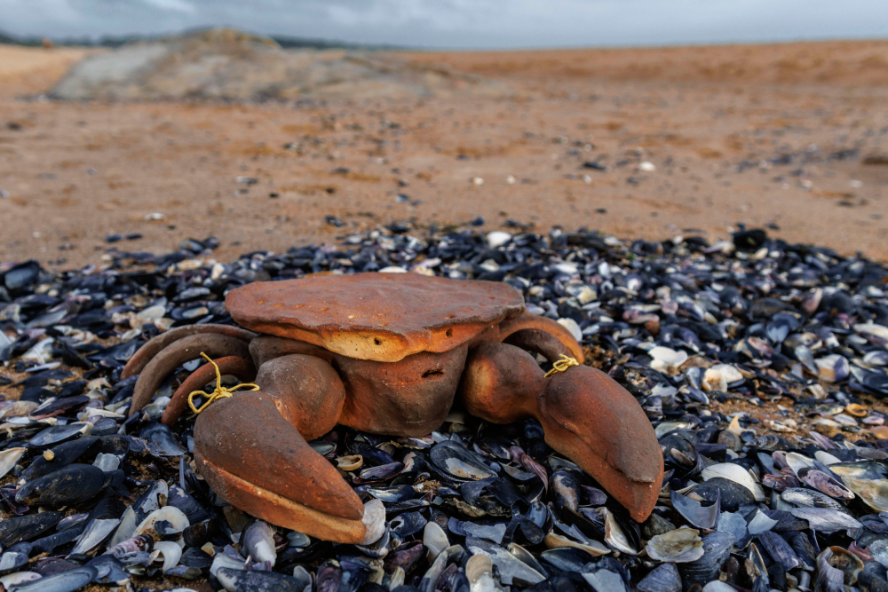 Eduardo Navarro: Carcinization 2025 (Fig. 2)