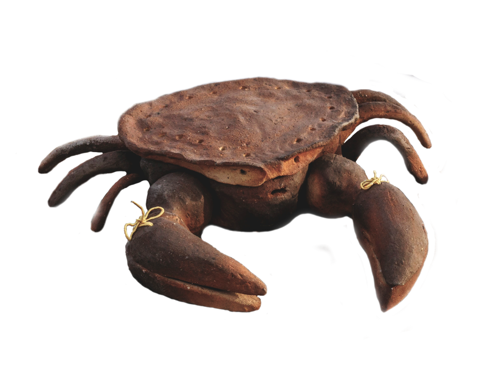 Eduardo Navarro: Carcinization 2025 (Thumbnail)