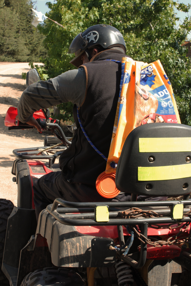 Eduardo Navarro: Kitty-Bag & Doggy-Bag 2026 (Fig. 4)