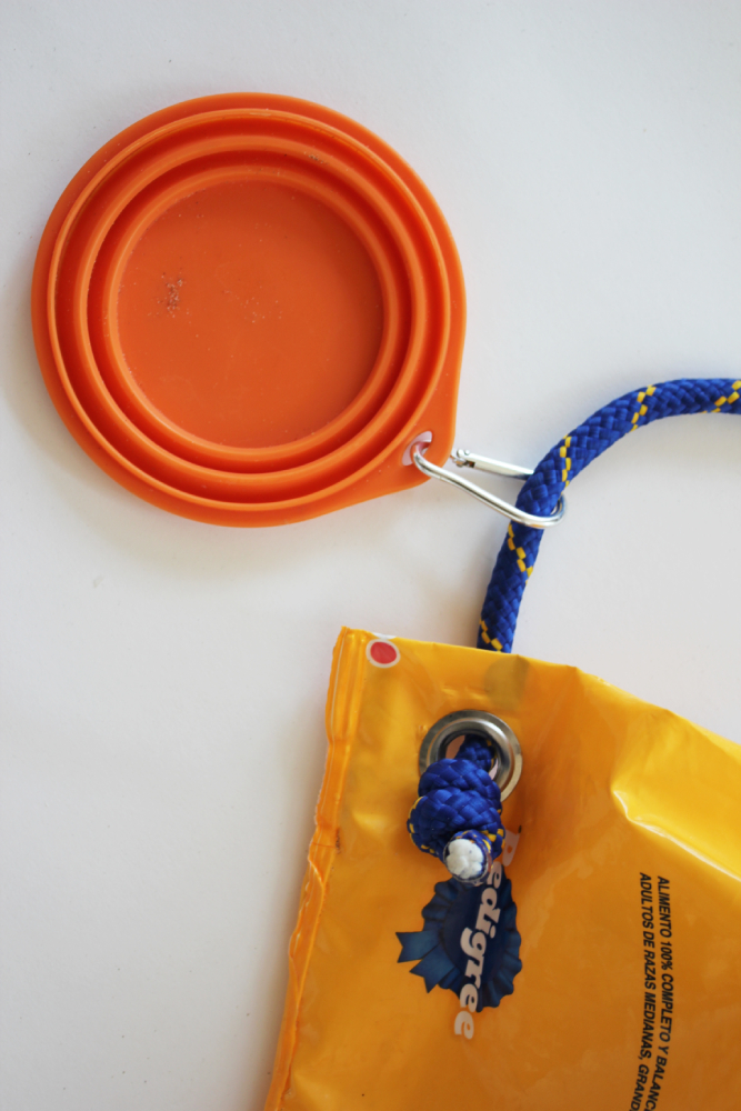 Eduardo Navarro: Kitty-Bag & Doggy-Bag 2026 (Fig. 1)