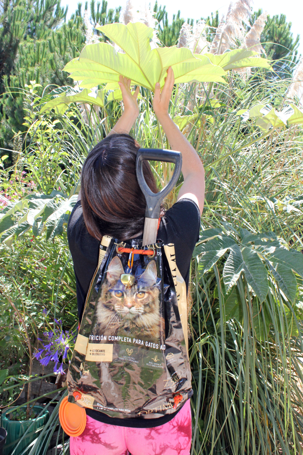 Eduardo Navarro: Kitty-Bag & Doggy-Bag 2026 (Fig. 3)