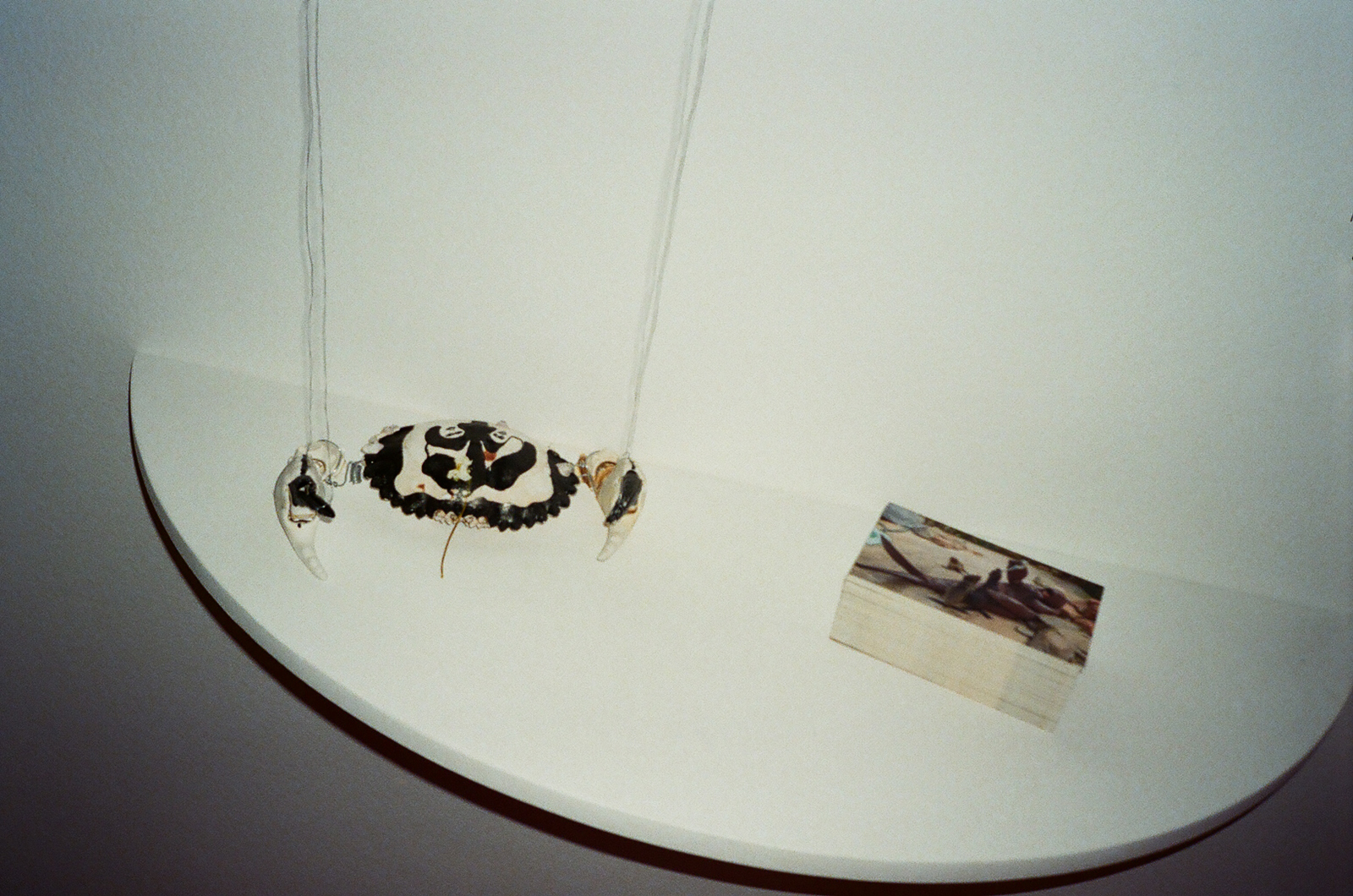 Eduardo Navarro: oceanic altar (f.o.c.a) (Fig. 47)