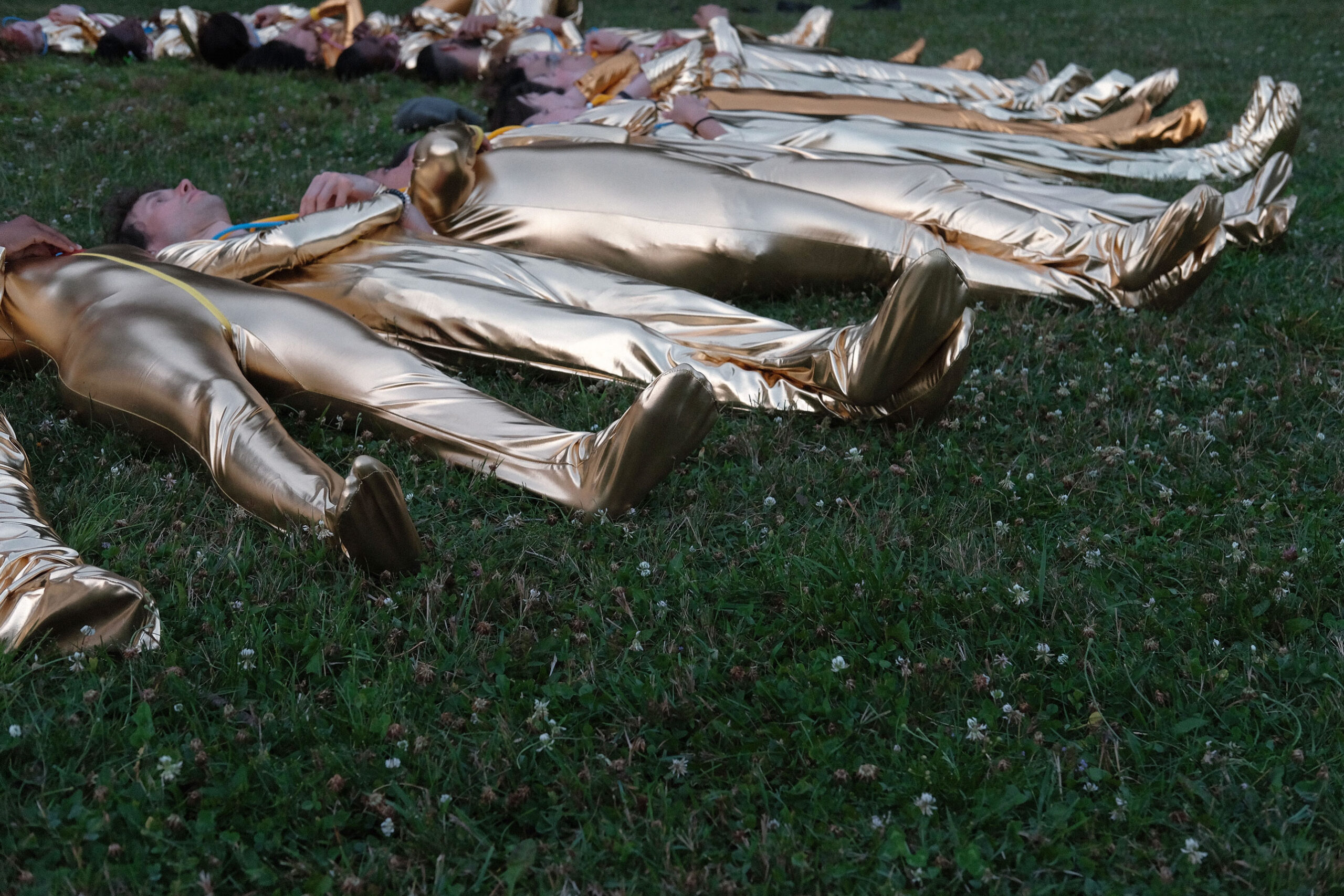Eduardo Navarro: sonic muscle (skowhegan) (Fig. 6)