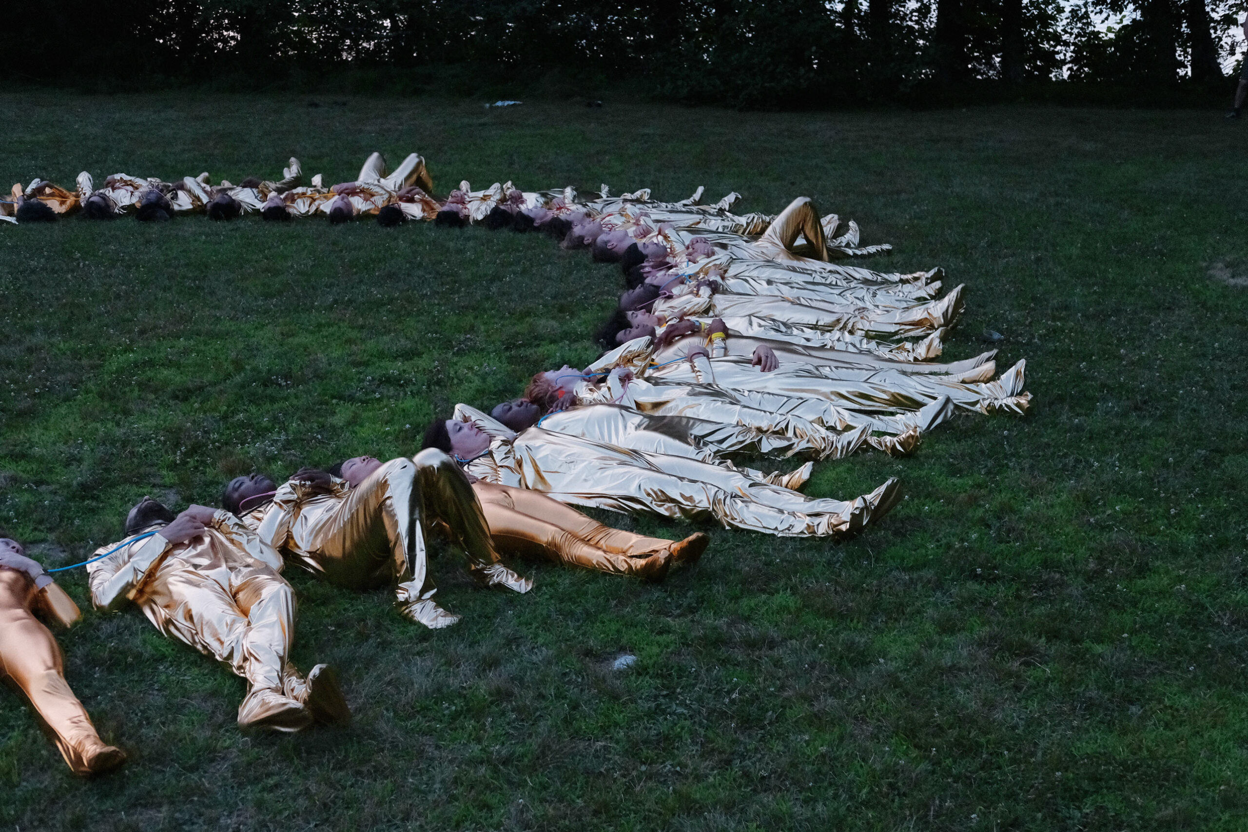 Eduardo Navarro: sonic muscle (skowhegan) (Fig. 11)